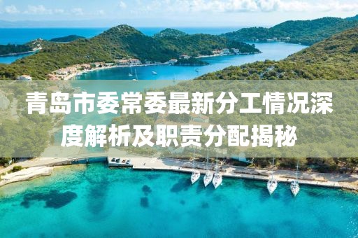 青岛市委常委最新分工情况深度解析及职责分配揭秘