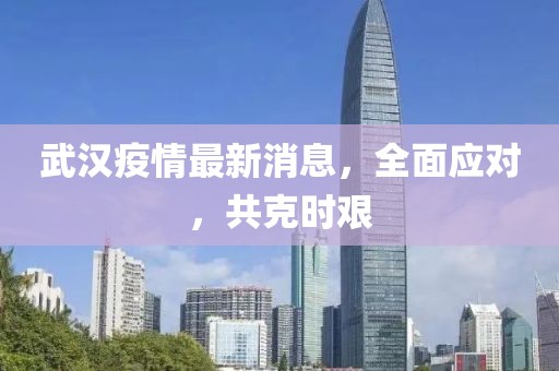 武汉疫情最新消息，全面应对，共克时艰