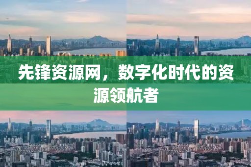 先锋资源网，数字化时代的资源领航者