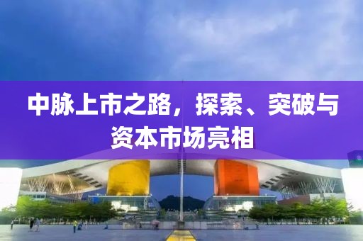 中脉上市之路，探索、突破与资本市场亮相