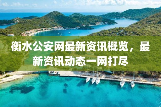 衡水公安网最新资讯概览，最新资讯动态一网打尽