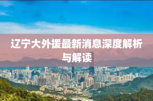 辽宁大外援最新消息深度解析与解读