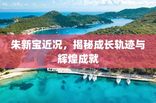 朱新宝近况，揭秘成长轨迹与辉煌成就