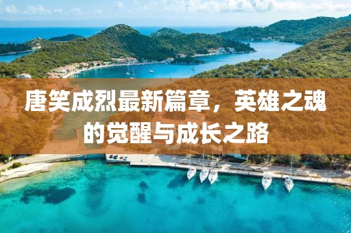 唐笑成烈最新篇章，英雄之魂的觉醒与成长之路