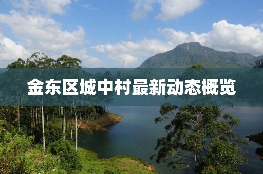 金东区城中村最新动态概览