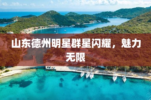 山东德州明星群星闪耀，魅力无限