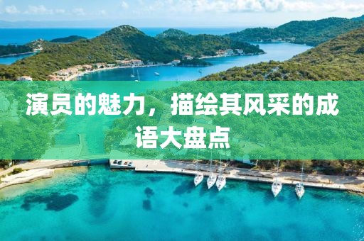 演员的魅力，描绘其风采的成语大盘点