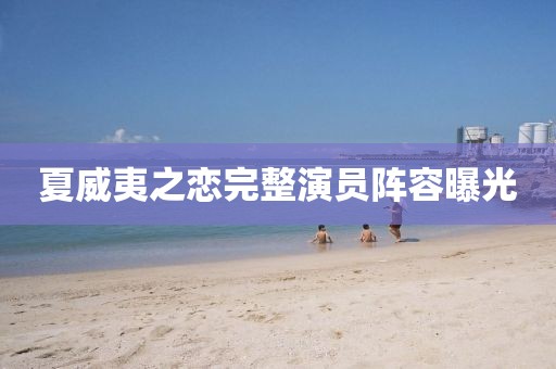 夏威夷之恋完整演员阵容曝光