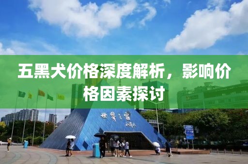 五黑犬价格深度解析，影响价格因素探讨