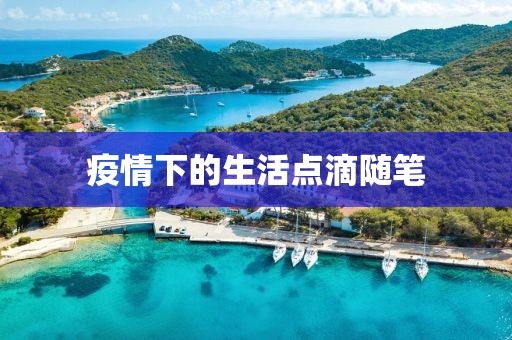 疫情下的生活点滴随笔