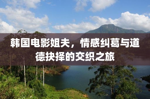 韩国电影姐夫，情感纠葛与道德抉择的交织之旅
