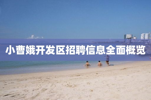 小曹娥开发区招聘信息全面概览