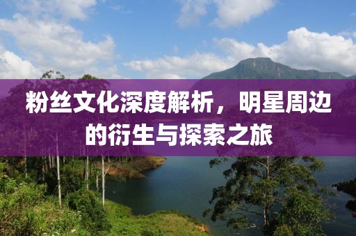 粉丝文化深度解析，明星周边的衍生与探索之旅