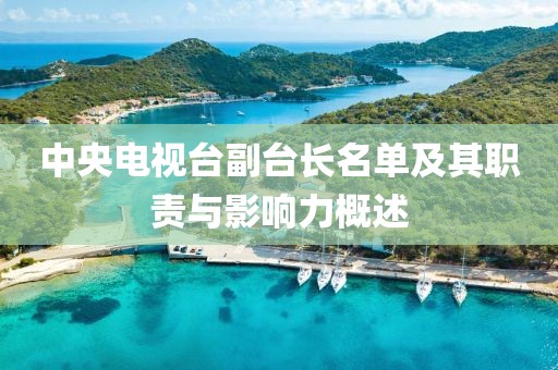 中央电视台副台长名单及其职责与影响力概述