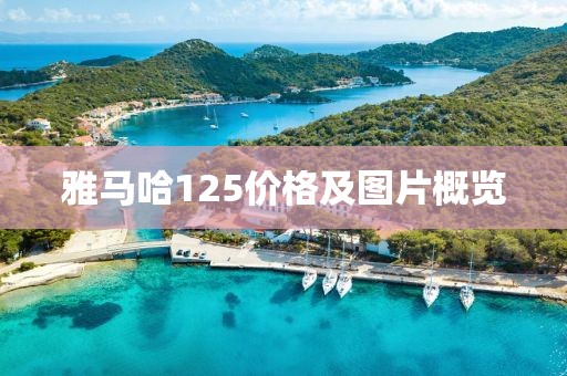 雅马哈125价格及图片概览