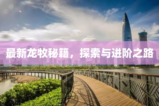 最新龙牧秘籍，探索与进阶之路