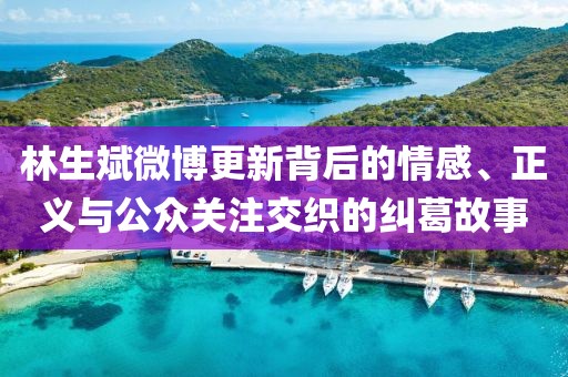 林生斌微博更新背后的情感、正义与公众关注交织的纠葛故事