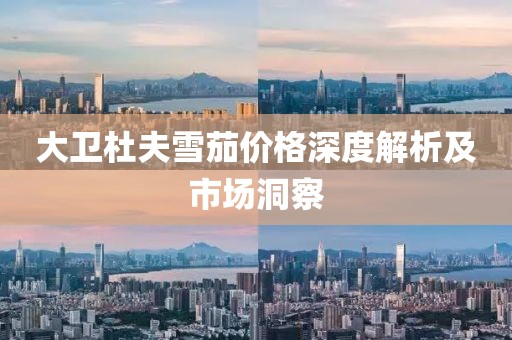 大卫杜夫雪茄价格深度解析及市场洞察