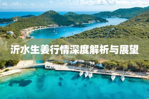 沂水生姜行情深度解析与展望