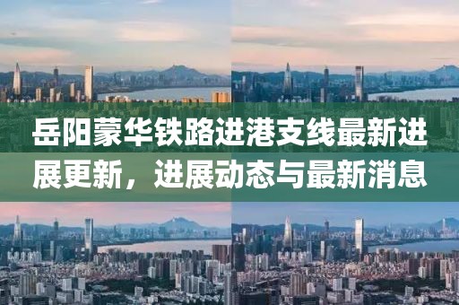 岳阳蒙华铁路进港支线最新进展更新，进展动态与最新消息