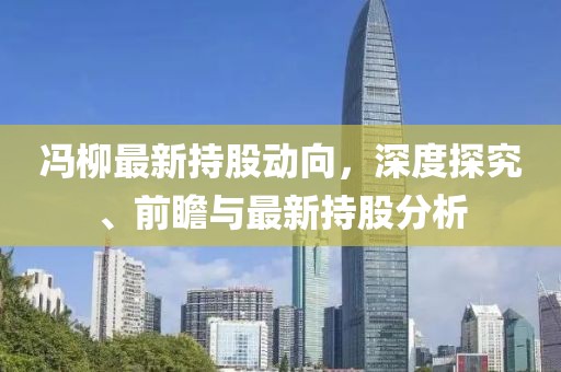 冯柳最新持股动向，深度探究、前瞻与最新持股分析