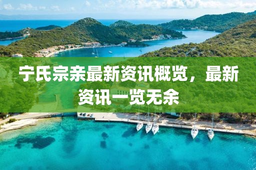 宁氏宗亲最新资讯概览，最新资讯一览无余