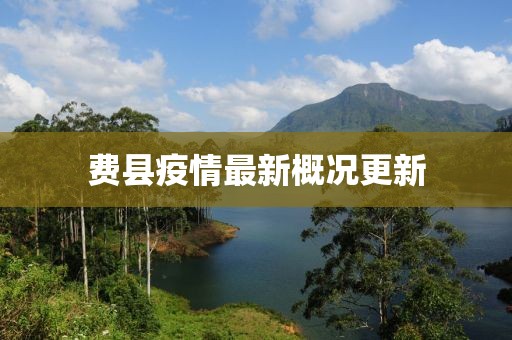 费县疫情最新概况更新