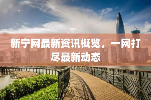 新宁网最新资讯概览，一网打尽最新动态