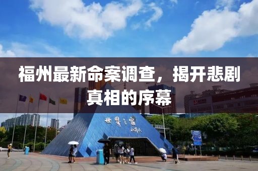 福州最新命案调查，揭开悲剧真相的序幕