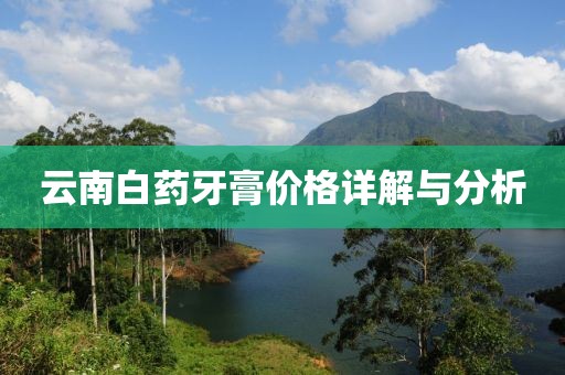 云南白药牙膏价格详解与分析