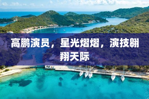 高鹏演员，星光熠熠，演技翱翔天际