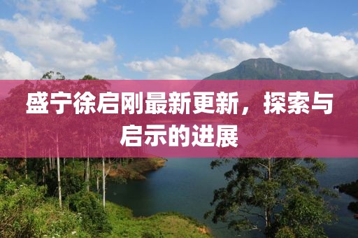 盛宁徐启刚最新更新，探索与启示的进展