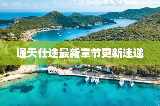通天仕途最新章节更新速递