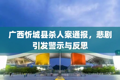 广西忻城县杀人案通报，悲剧引发警示与反思