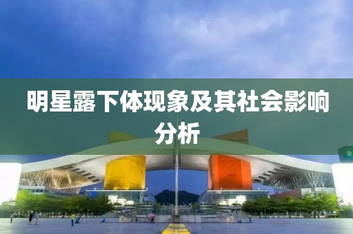 明星露下体现象及其社会影响分析