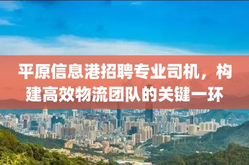 平原信息港招聘专业司机，构建高效物流团队的关键一环