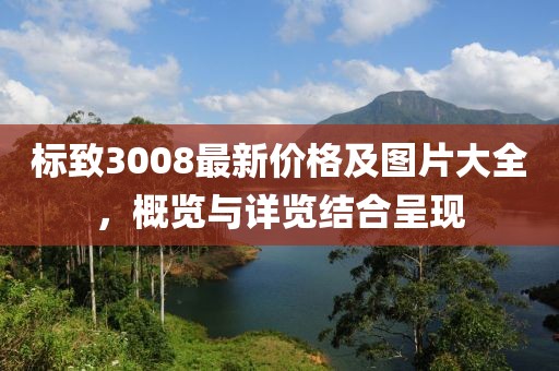 标致3008最新价格及图片大全，概览与详览结合呈现