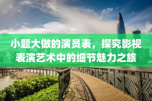 小题大做的演员表，探究影视表演艺术中的细节魅力之旅