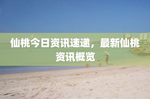 仙桃今日资讯速递，最新仙桃资讯概览