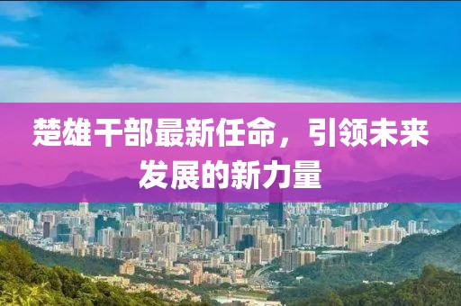 楚雄干部最新任命，引领未来发展的新力量