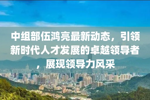 中组部伍鸿亮最新动态，引领新时代人才发展的卓越领导者，展现领导力风采