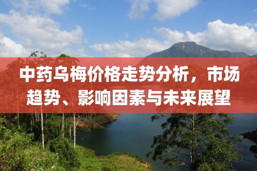 中药乌梅价格走势分析，市场趋势、影响因素与未来展望