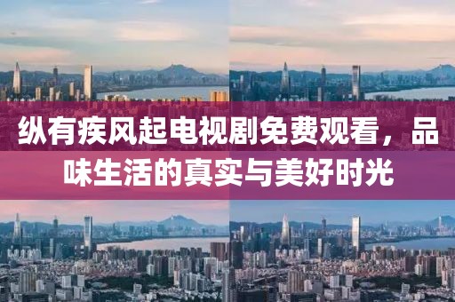 纵有疾风起电视剧免费观看，品味生活的真实与美好时光