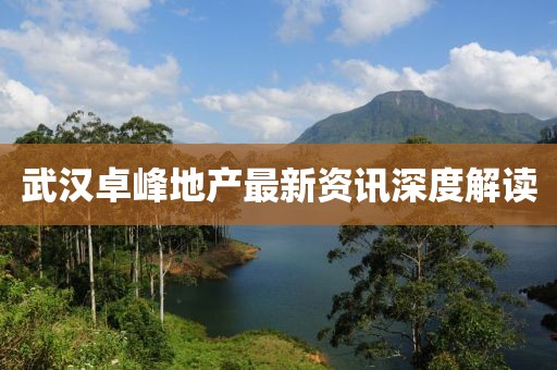 武汉卓峰地产最新资讯深度解读