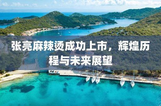 张亮麻辣烫成功上市，辉煌历程与未来展望