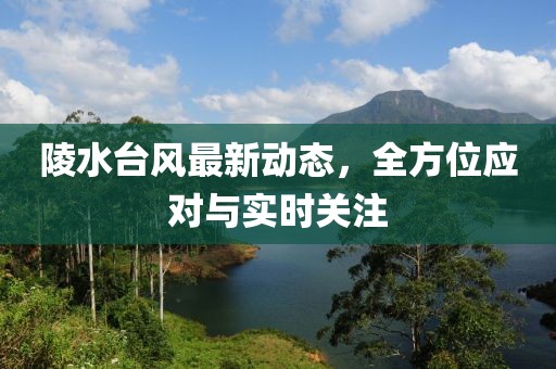 陵水台风最新动态，全方位应对与实时关注