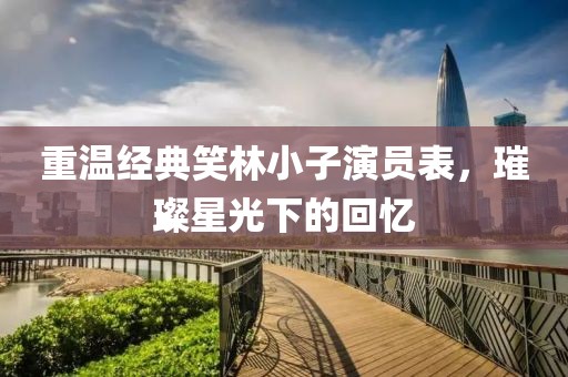 重温经典笑林小子演员表，璀璨星光下的回忆