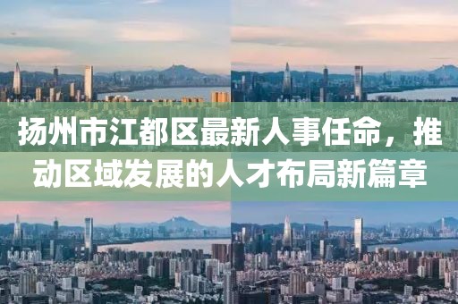 扬州市江都区最新人事任命，推动区域发展的人才布局新篇章