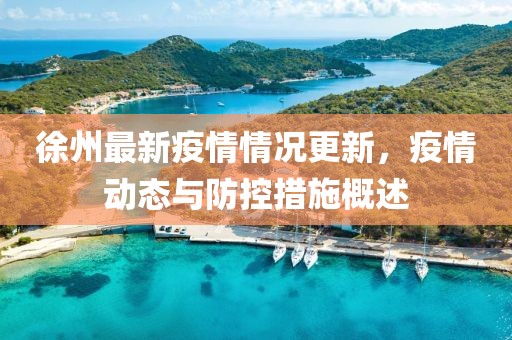 徐州最新疫情情况更新，疫情动态与防控措施概述