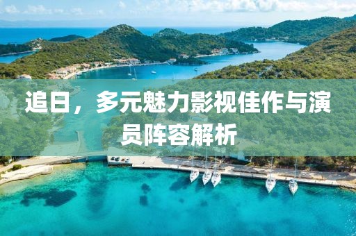 追日，多元魅力影视佳作与演员阵容解析